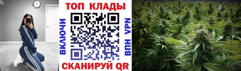 Что такое Рошаль ГАШ  МАРИХУАНА  Метамфетамин  Мефедрон  Кокаин 
