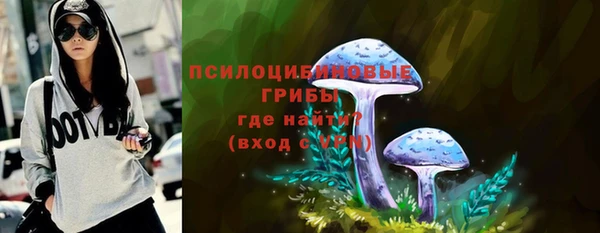кокс Алексин