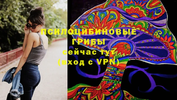 кокс Алексин